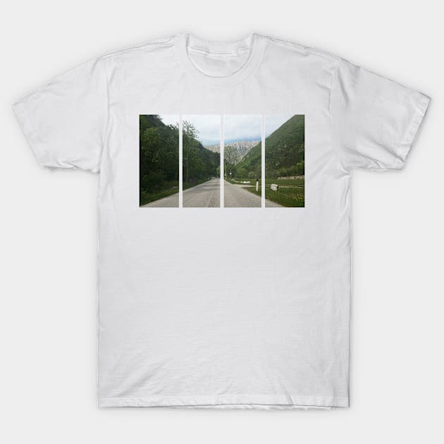 A shot on the move from behind the windshield of an electric car with alps mountains in front of it in a fresh sunny spring day. POV first person view shot on a asphalted mountain road T-Shirt by fabbroni-art